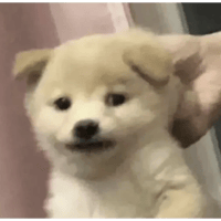 sticker image #25