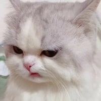 sticker image #14