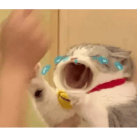 sticker image #20