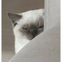 sticker image #23
