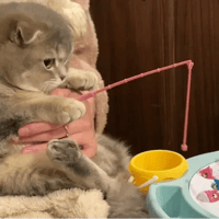 sticker image #5