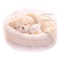 sticker image #13