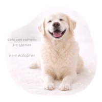 sticker image #14