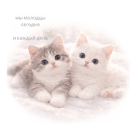 sticker image #27