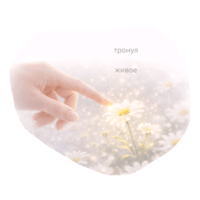 sticker image #29