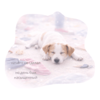 sticker image #9