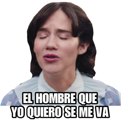 Sticker Maker La Casa De Las Flores 3