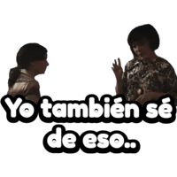Sticker Maker La Casa De Las Flores T3