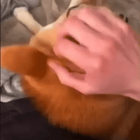 sticker image #21