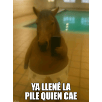 sticker image #16