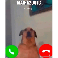 sticker image #17