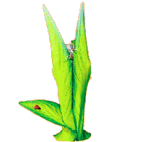 sticker image #10