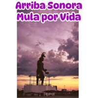 sticker image #13