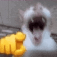 sticker image #14