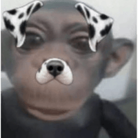 sticker image #1