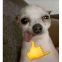 sticker image #12