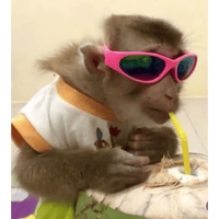 sticker image #16