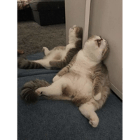 sticker image #24