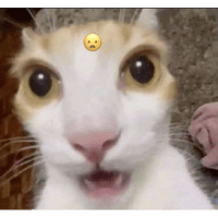 sticker image #26
