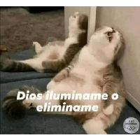 sticker image #10