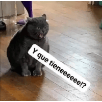 sticker image #12