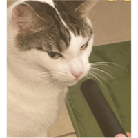 sticker image #11