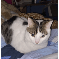 sticker image #14