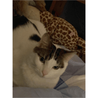sticker image #15