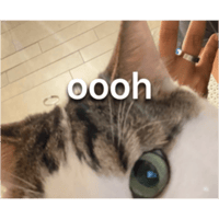 sticker image #16