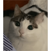sticker image #24