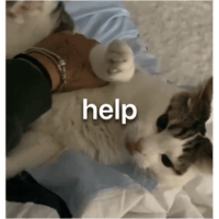 sticker image #26