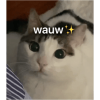 sticker image #27