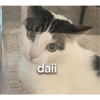 sticker image #28