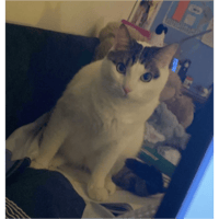 sticker image #29