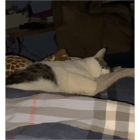 sticker image #7