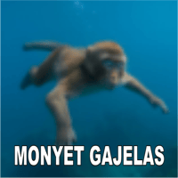 sticker image #17