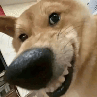 sticker image #20