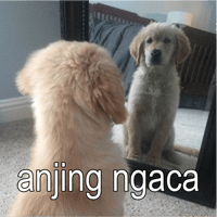 sticker image #29