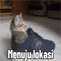 sticker image #9
