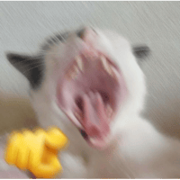 sticker image #13