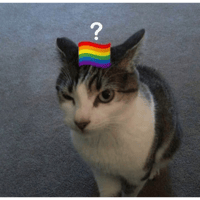 sticker image #16
