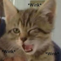 sticker image #3