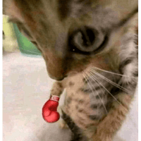 sticker image #22