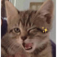sticker image #23