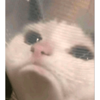 sticker image #30