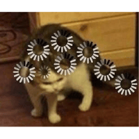 sticker image #13