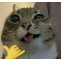 sticker image #24