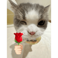 sticker image #29
