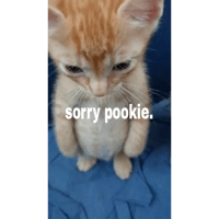 sticker image #6