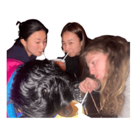 sticker image #5